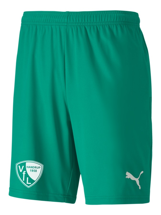PUMA teamGOAL 23 Knit Shorts