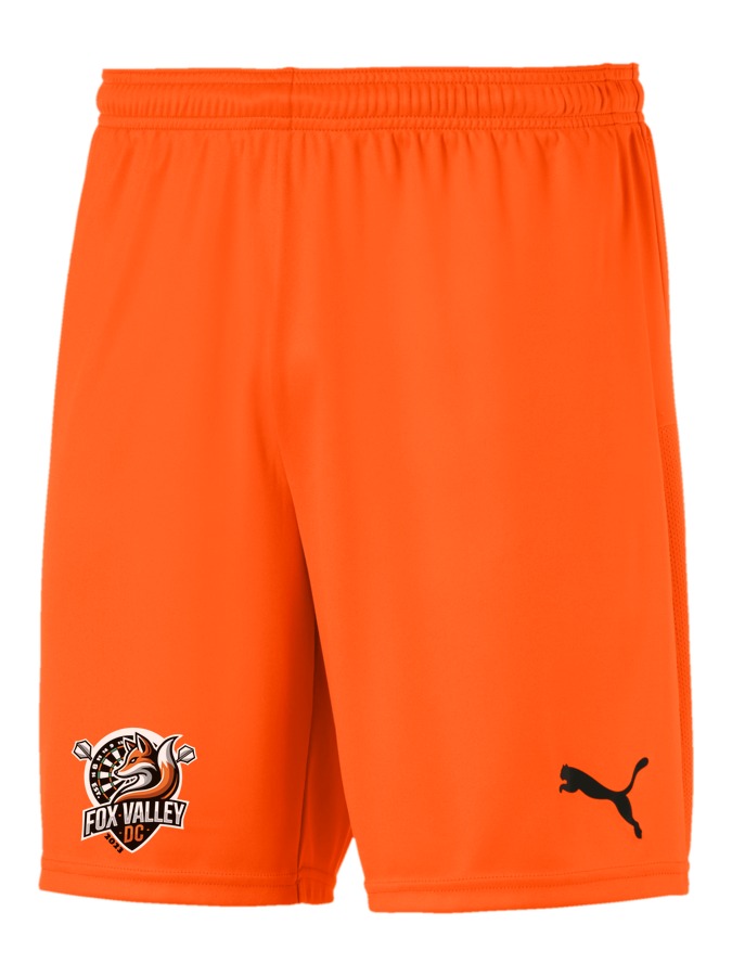 PUMA teamGOAL 23 Knit Shorts