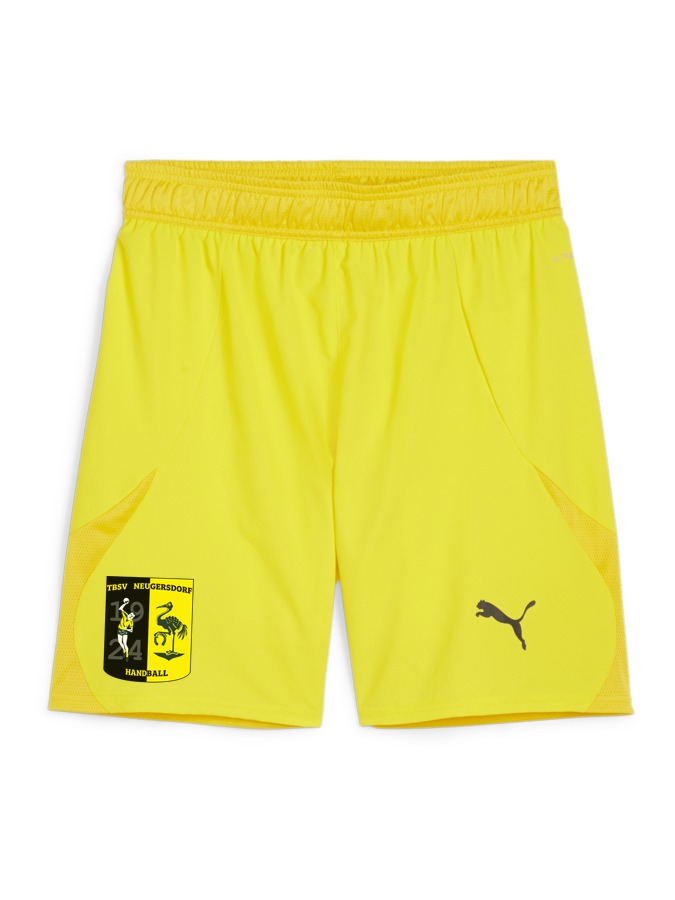 PUMA teamFINAL Shorts