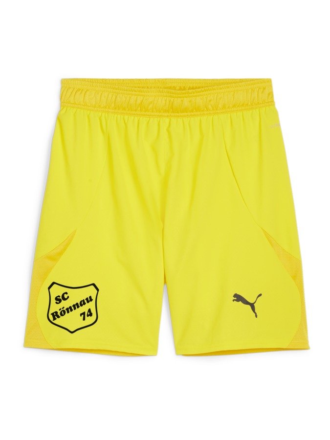 PUMA teamFINAL Shorts