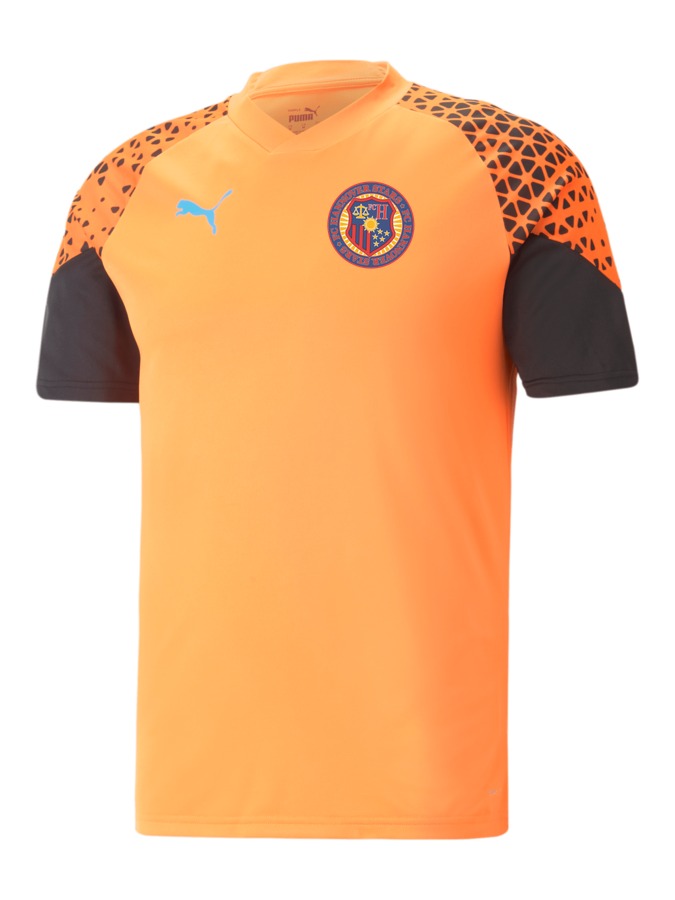 PUMA individualCUP Trainingsshirt