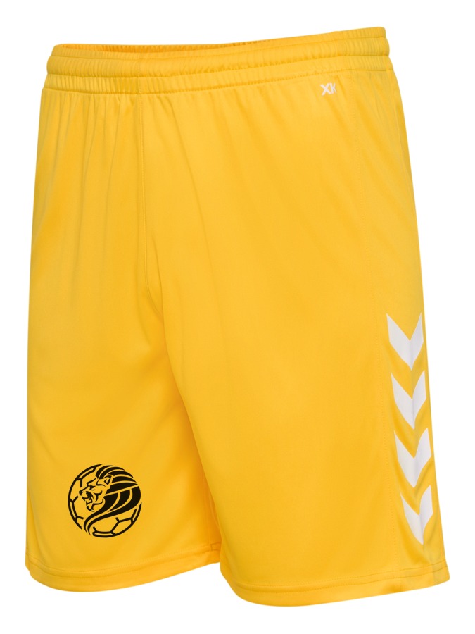 Hummel Core XK Trainingsshorts