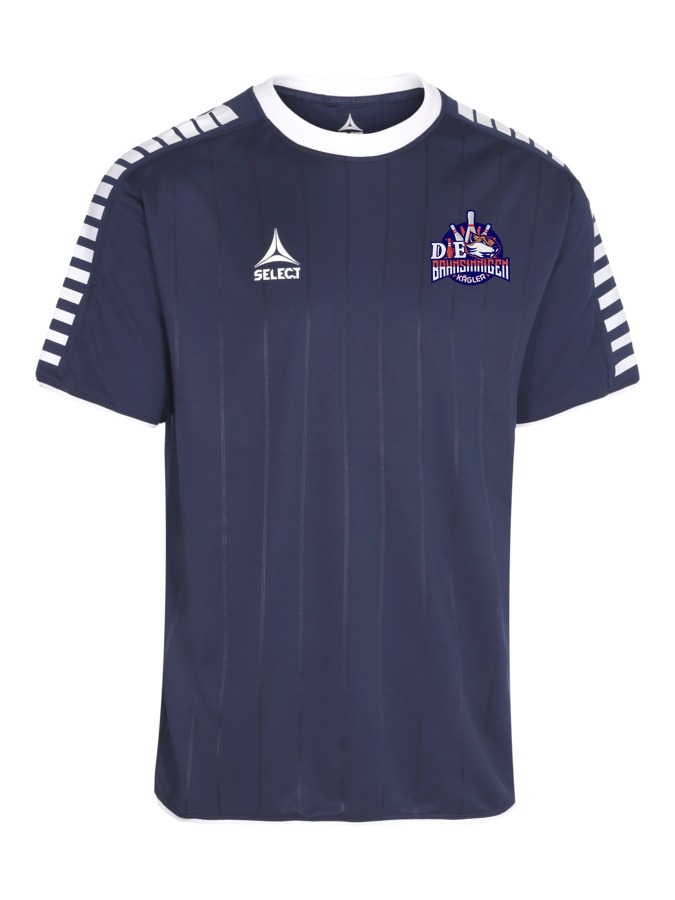 Select Argentina Trikot