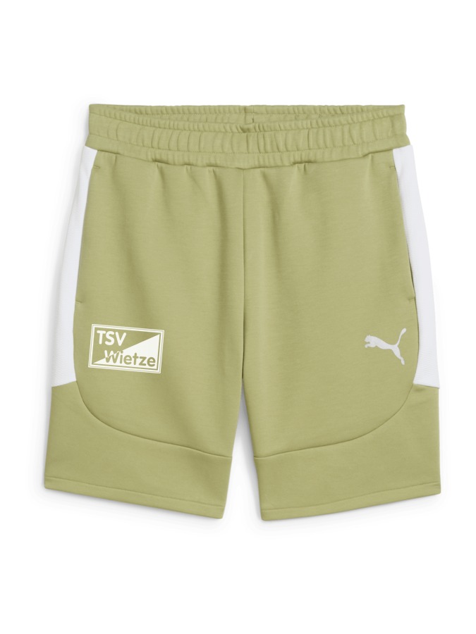 PUMA teamEVOSTRIPE Shorts