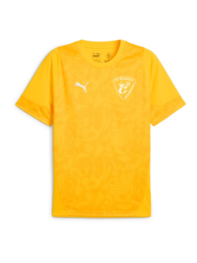 PUMA teamCUP Trainingsshirt