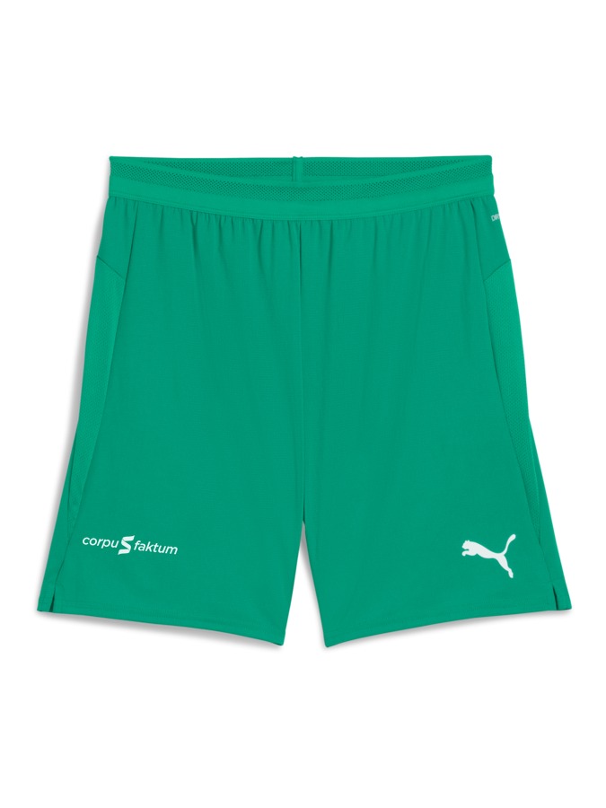PUMA teamCUP Shorts
