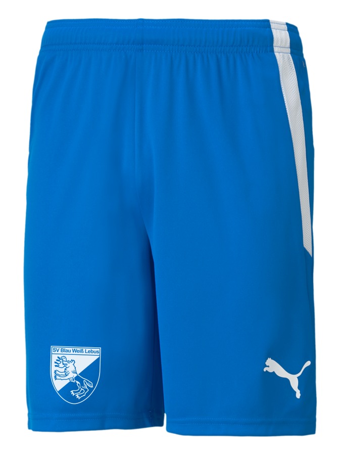 PUMA teamLIGA Shorts