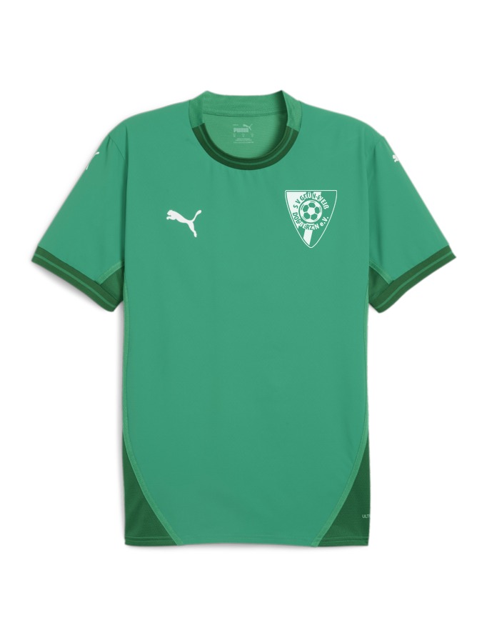 PUMA teamFINAL Trikot