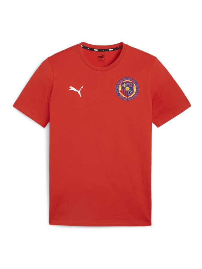 PUMA teamGOAL Casuals T-Shirt