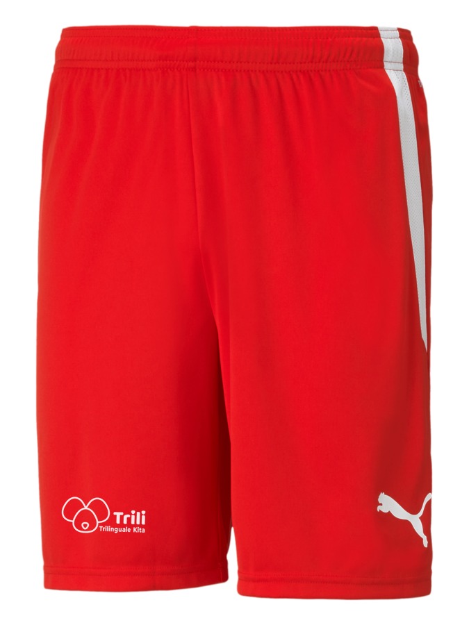 PUMA teamLIGA Shorts