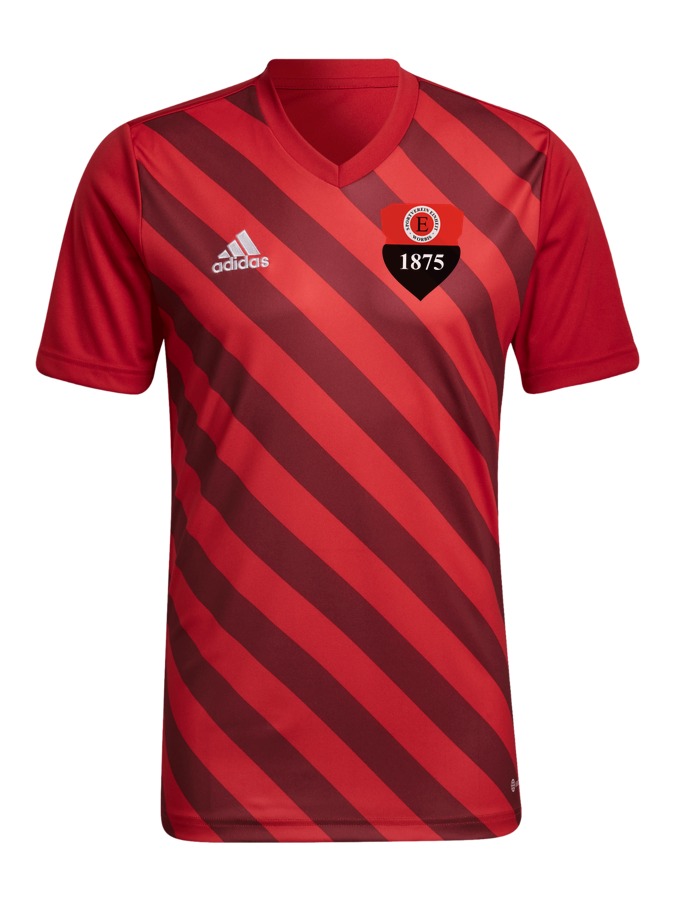 adidas Entrada 22 GFX Trikot