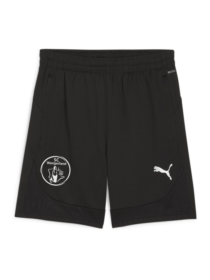 PUMA teamFINAL Training Shorts