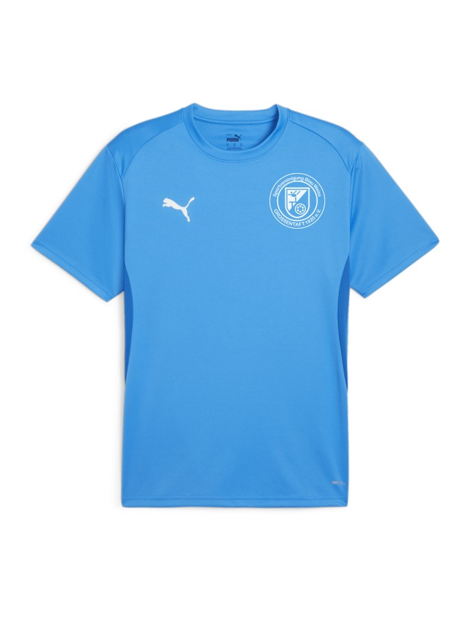 PUMA teamGOAL Trikot