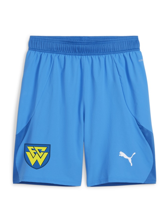 PUMA teamFINAL Shorts