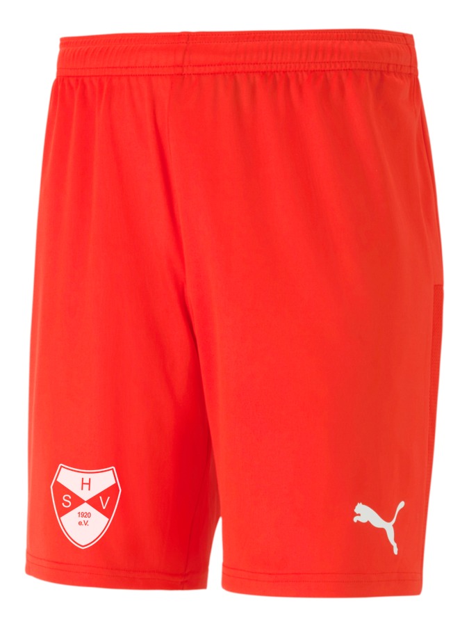 PUMA teamGOAL 23 Knit Shorts