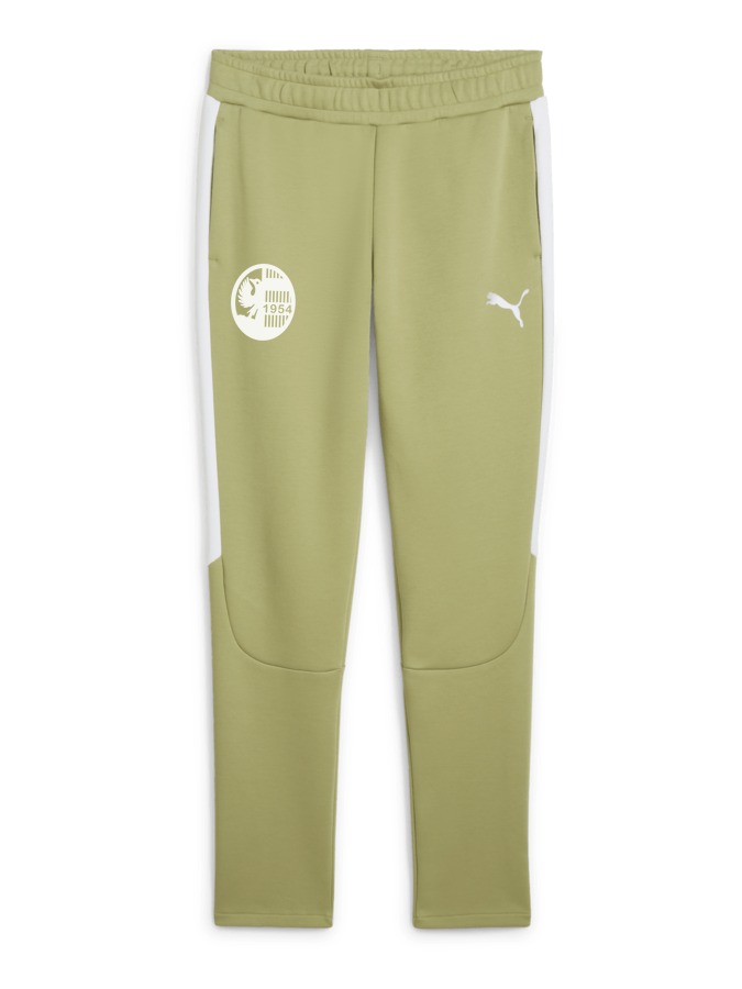 PUMA teamEVOSTRIPE Hose