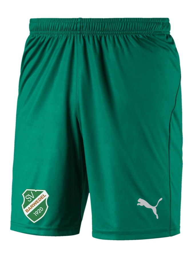 PUMA LIGA Shorts Core