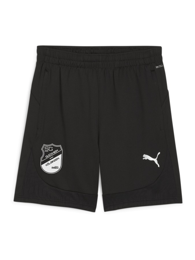 PUMA teamFINAL Training Shorts