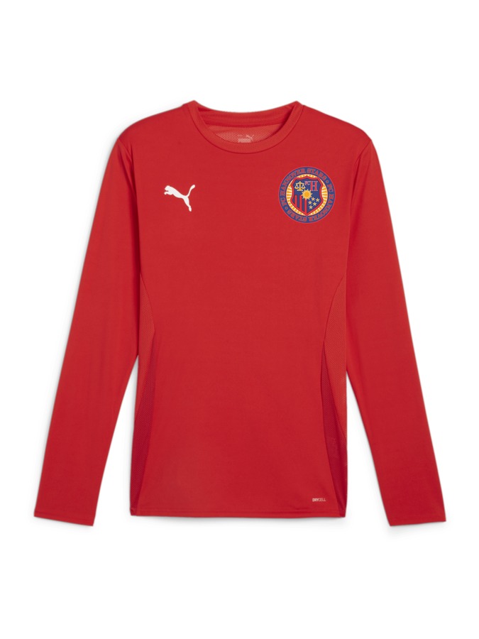 PUMA teamGOAL Longsleeve Trikot