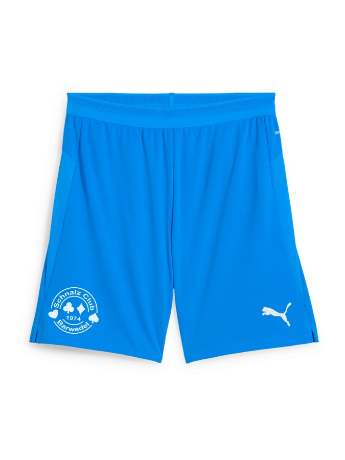 PUMA teamCUP Shorts
