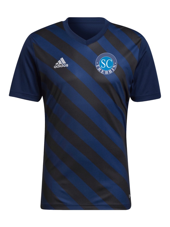 adidas Entrada 22 GFX Trikot