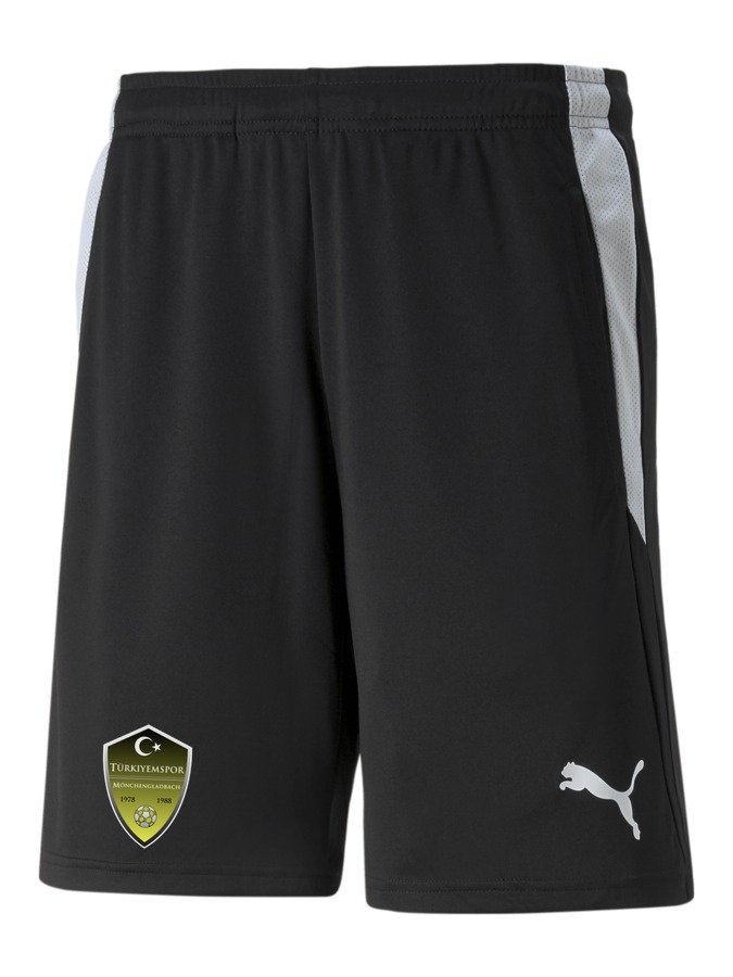 PUMA teamLIGA Referee Shorts