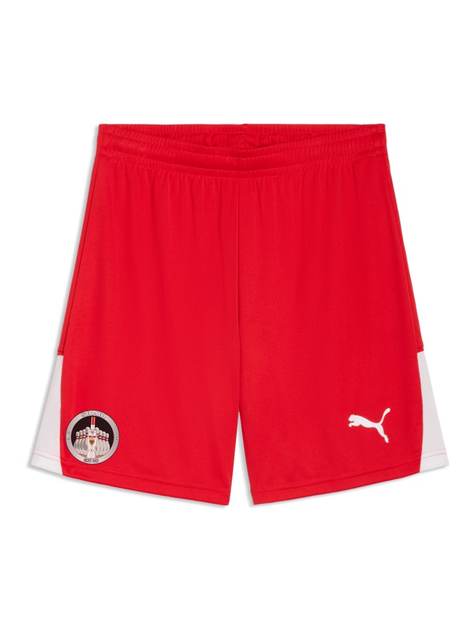 PUMA teamLIGA26 Shorts