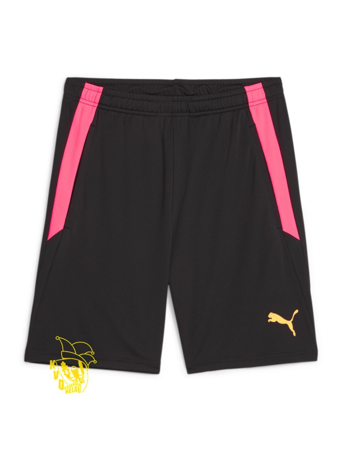 PUMA teamLIGA Training Shorts 2 (Offene Taschen)