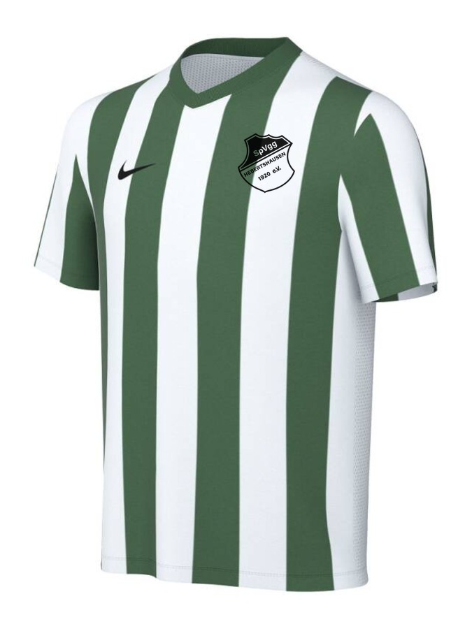Nike Striped Division V Trikot Kinder