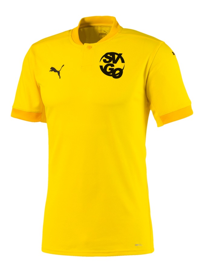PUMA teamFINAL 21 Trikot