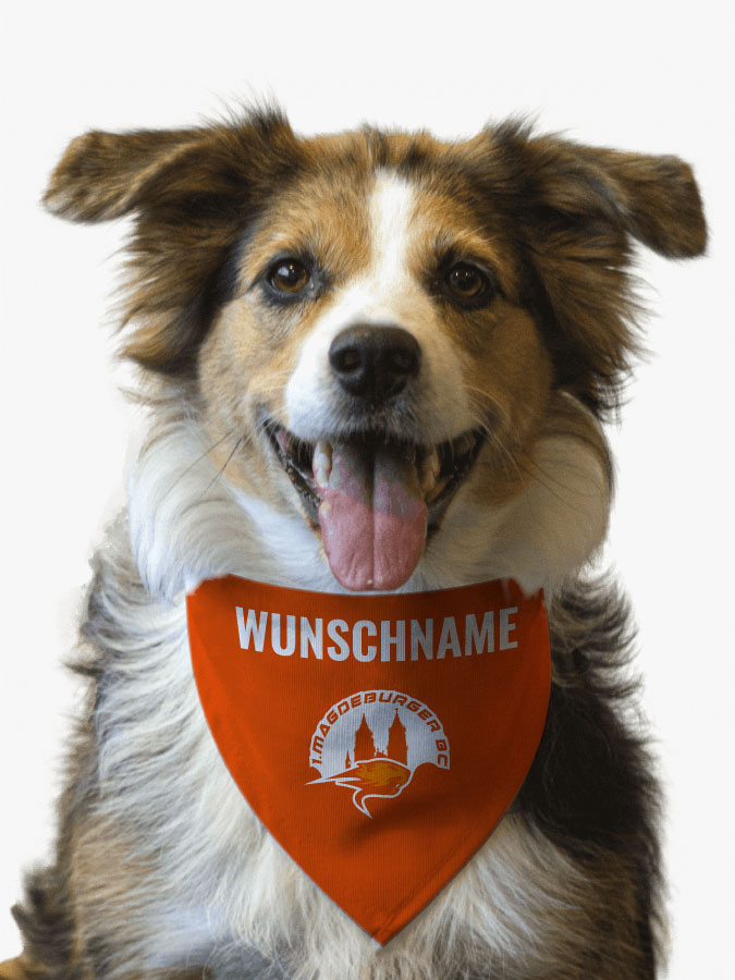 Hundehalstuch