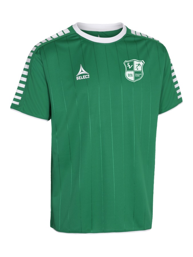 Select Argentina Trikot