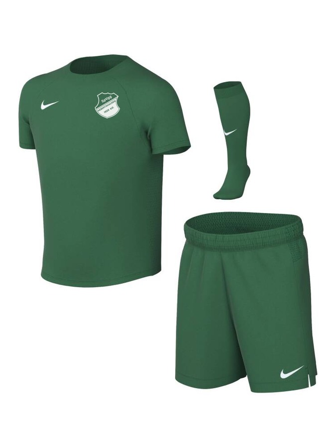 Nike Park VIII Trikot-Set Kinder