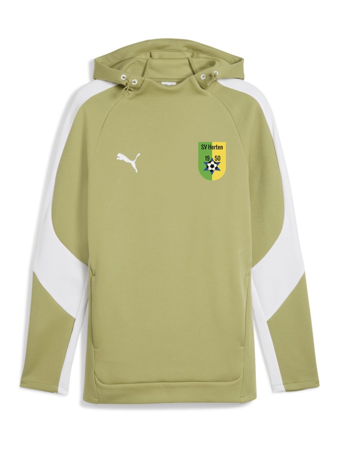 PUMA teamEVOSTRIPE Hoody