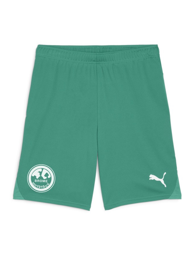PUMA teamGOAL Shorts