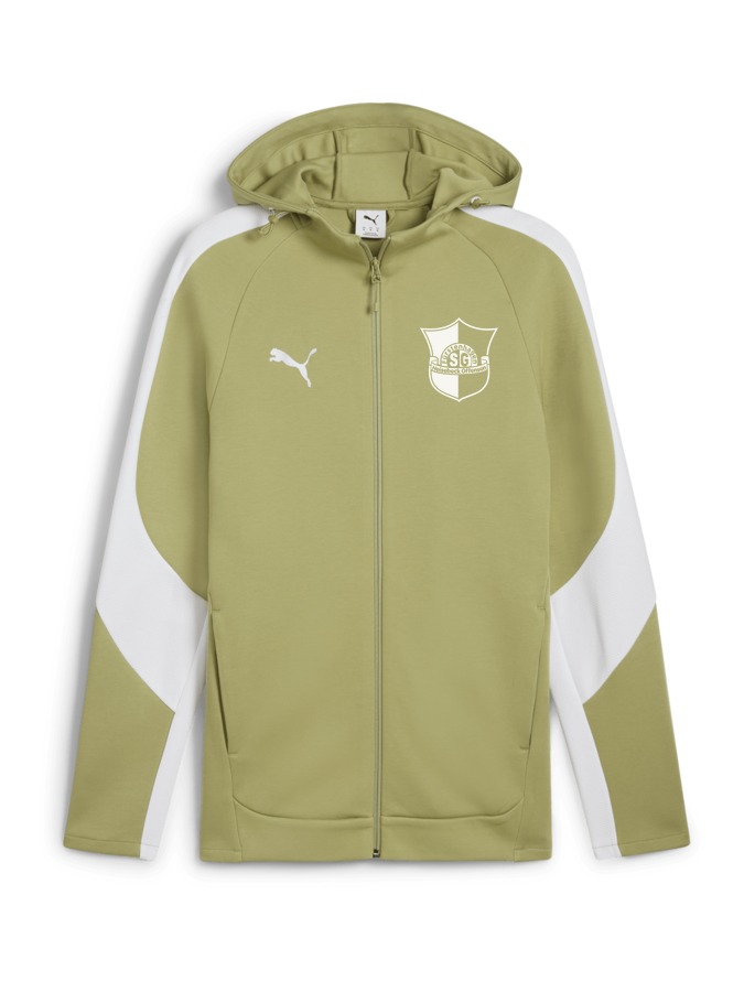 PUMA teamEVOSTRIPE Kapuzenjacke
