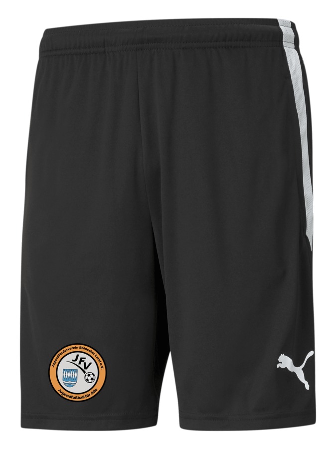 PUMA teamLIGA Training Shorts