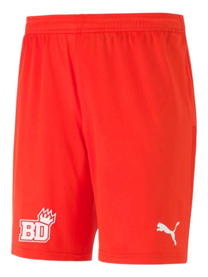 PUMA teamGOAL 23 Knit Shorts