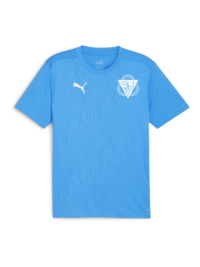 PUMA teamFINAL Trainingsshirt