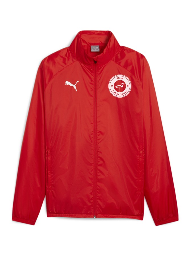 PUMA teamGOAL Allwetterjacke