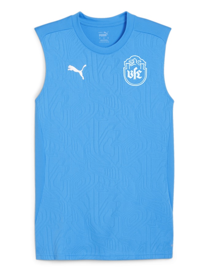 PUMA teamFINAL Trainingstanktop