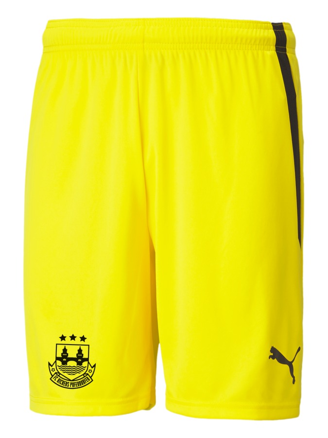PUMA teamLIGA Shorts