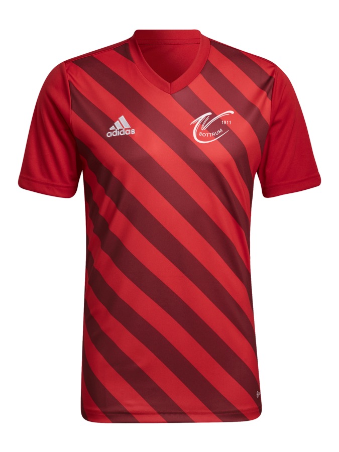 adidas Entrada 22 GFX Trikot