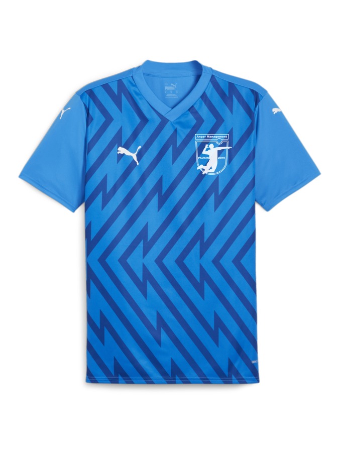 PUMA teamGLORY Trikot
