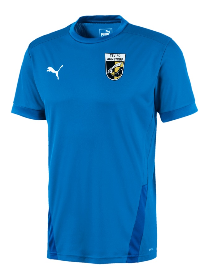 PUMA teamGOAL 23 Trikot