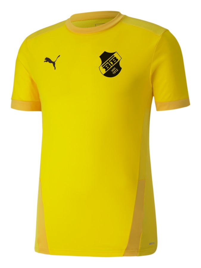 PUMA teamGOAL 23 Trikot