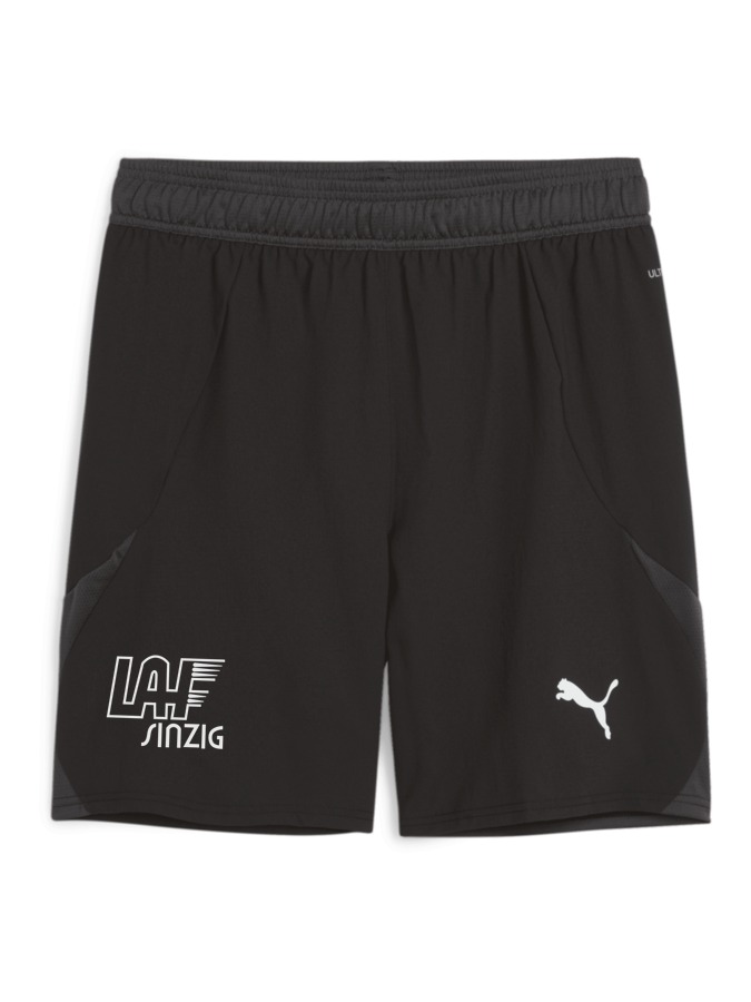 PUMA teamFINAL Shorts