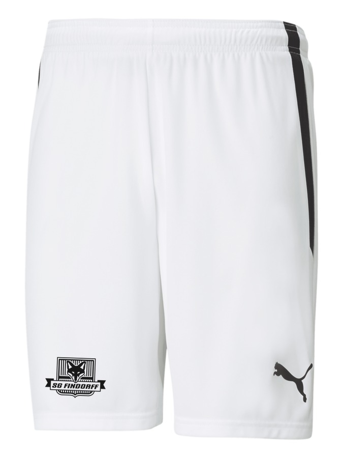 PUMA teamLIGA Shorts