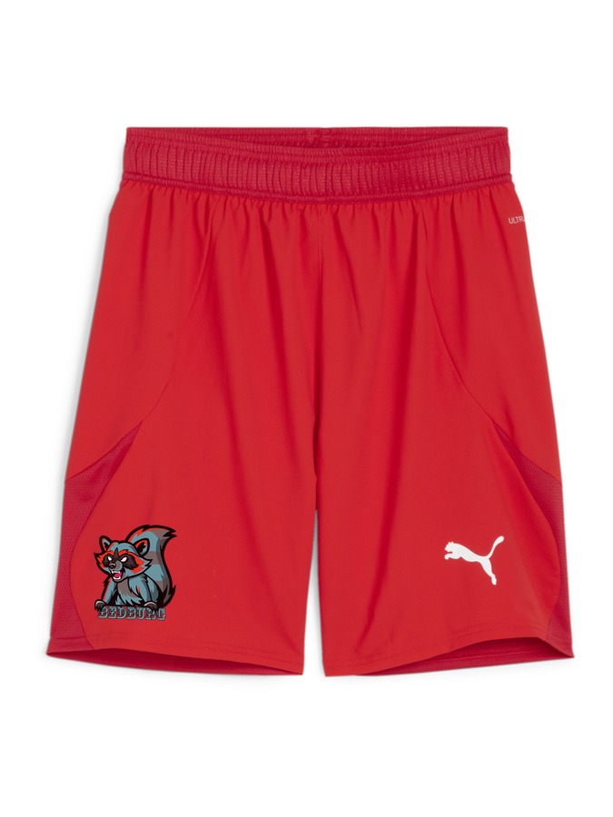 PUMA teamFINAL Shorts