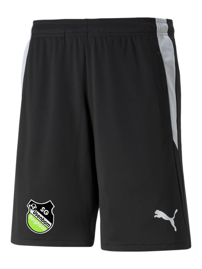 PUMA teamLIGA Referee Shorts
